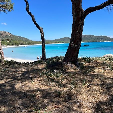 Palombaggia Villa Porto-Vecchio  Dış mekan fotoğraf