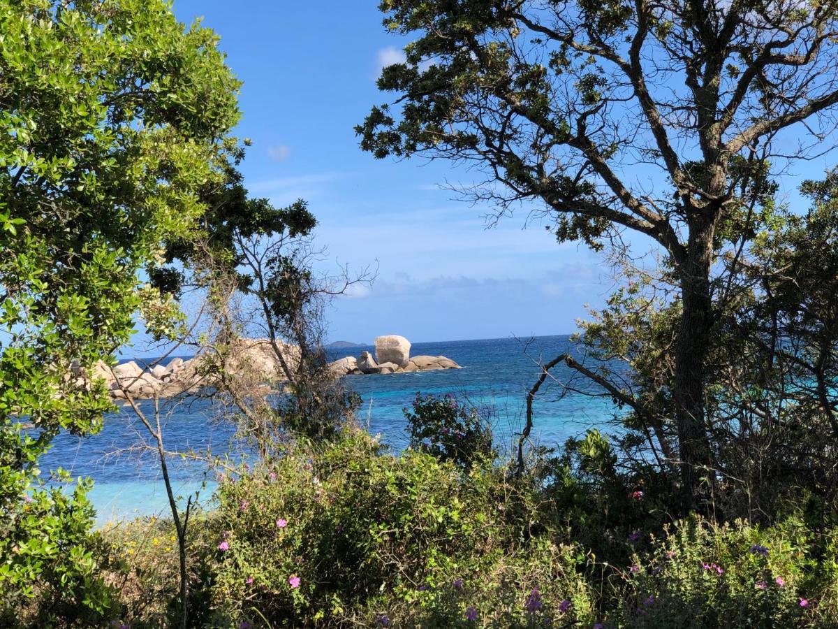 Palombaggia Villa Porto-Vecchio  Dış mekan fotoğraf