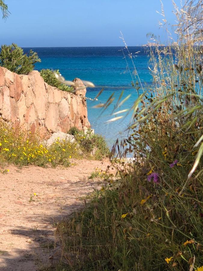 Palombaggia Villa Porto-Vecchio  Dış mekan fotoğraf