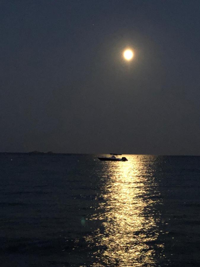 Palombaggia Villa Porto-Vecchio  Dış mekan fotoğraf